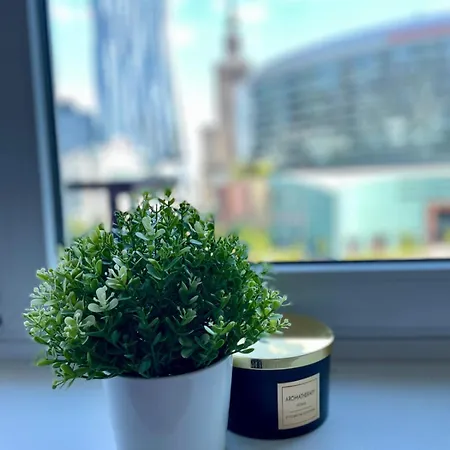 Super Central, Amazing View! 55