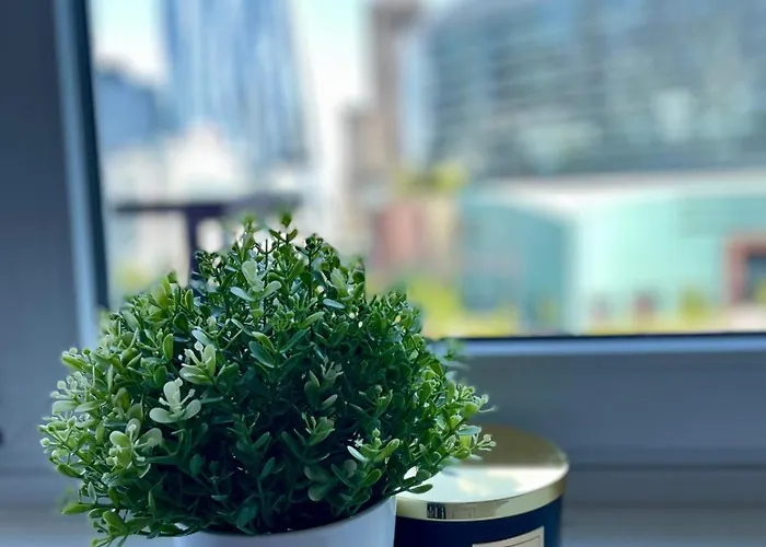 Super Central, Amazing View! 55